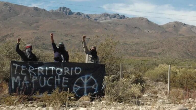 falsosmapuches