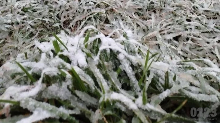frio_polar