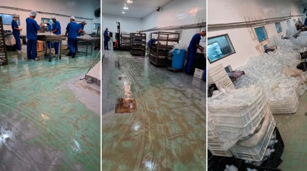 laboratorio_fentanilo