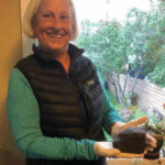 meteorito_en_la_cabeza