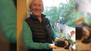 meteorito_en_la_cabeza