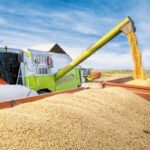 exportacion de granos