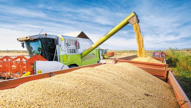 exportacion de granos