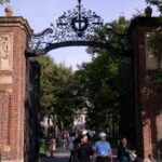 universidad de harvard