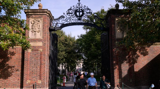 universidad de harvard